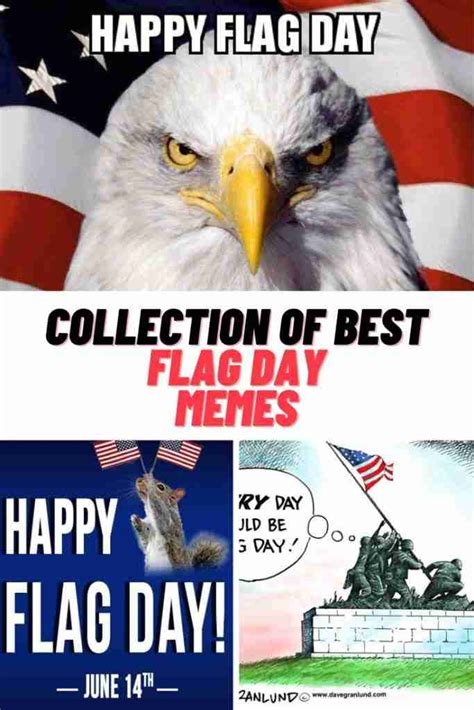 Collection of Best FLAG DAY MEMES 2023 - Guide For Geek Moms