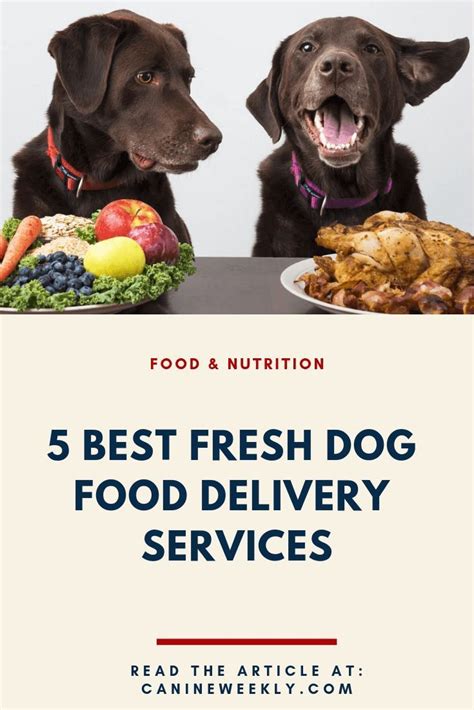 Top 10 Dog Food Delivery Services to keep your furry friend healthy and happy! - Furry Folly