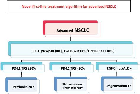 Pembrolizumab in the treatment of metastatic non-small cell lung cancer: a review of current ...