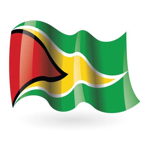 Guyana flag image Royalty Free Stock SVG Vector