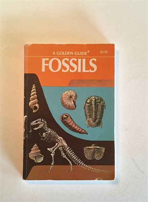 FOSSILS book / Vintage Golden Guide FOSSILS 24411 Softcover | Etsy