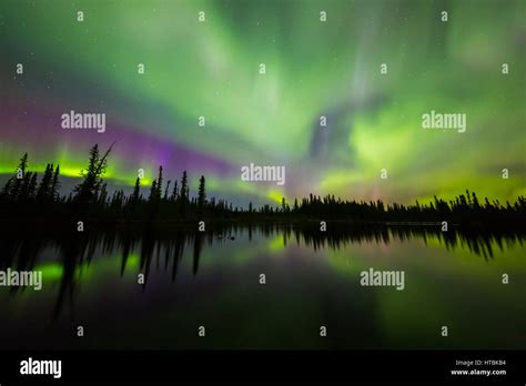 The aurora borealis fills the sky above the Clearwater River in Delta Junction; Alaska, United ...