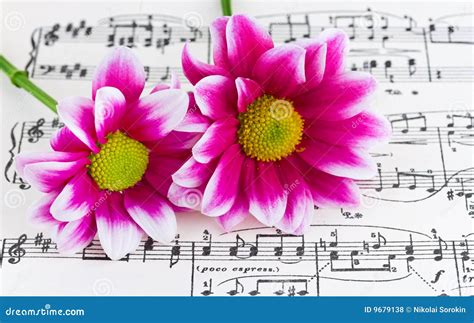 Flowers On Sheet Music Royalty Free Stock Photos - Image: 9679138