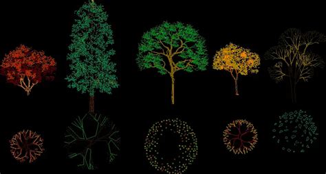 Trees In DWG (999.17 KB) | CAD library