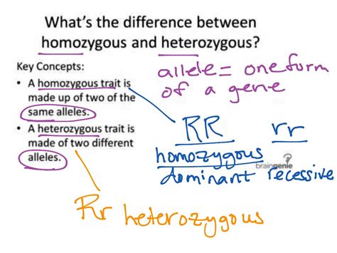 ShowMe - homozygous