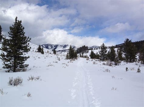 Cross Country Skiing in West Yellowstone - TRAVELING MEL'S YELLOWSTONE TRIPS