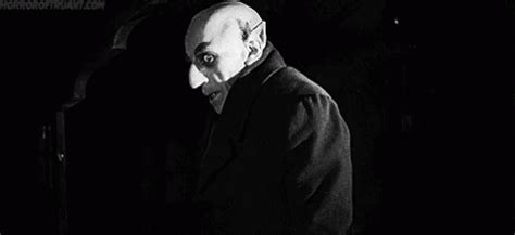 Nosferatu Vampire GIF - Nosferatu Vampire What - Discover & Share GIFs