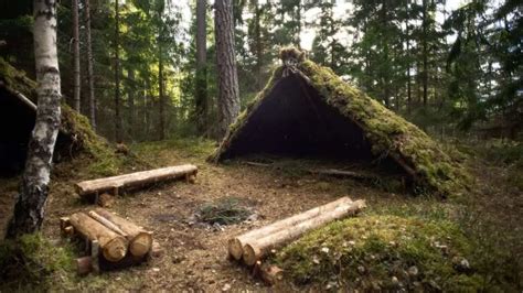 7 different types of camping (and their pros and cons)