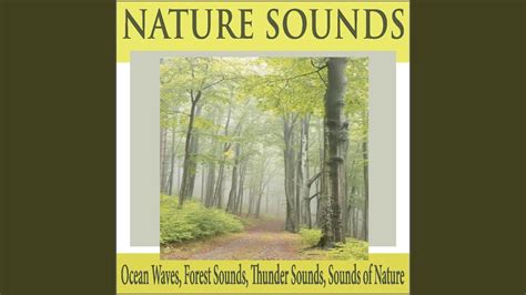 Wind Sounds - YouTube