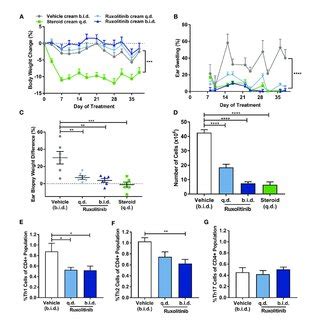 Safety and tolerability of the abrocitinib in the clinical trials. | Download Scientific Diagram