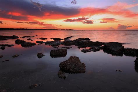 Swan Bay Sunset Photograph by Paul Svensen - Fine Art America