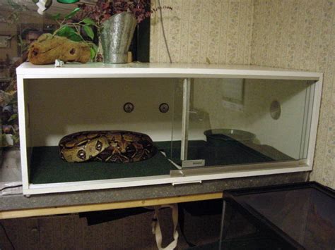 How to build enclosures for reptiles - custom snake cages - arboreal snake cages - snake keeping ...