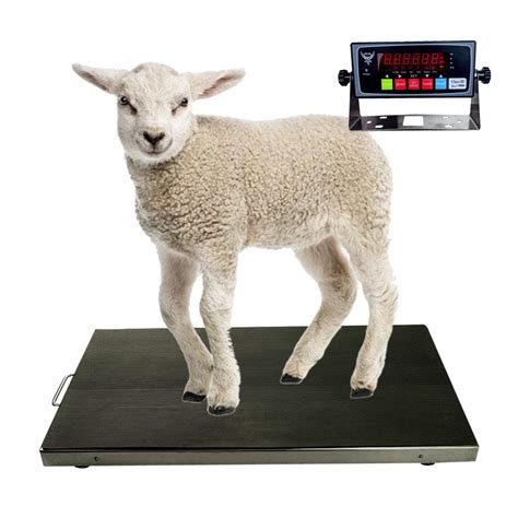 Buy PEC Livestock Animal Scale/Farm Animal Scales for Weighing Small to Medium Sized Animals ...