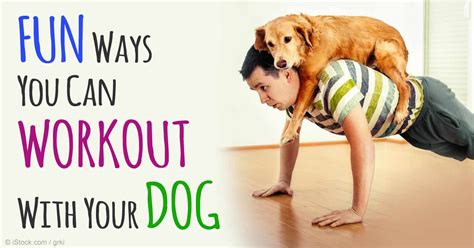 Have You Tried Doing Exercise Programs with Your Pet?