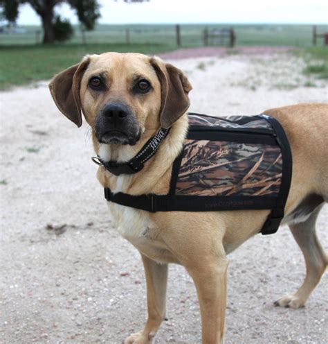 Dog Vest With Pockets Size Medium Mossy Oak Camo Water - Etsy