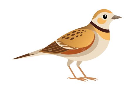 Skylark Bird Vector Art PNG, Vector, PSD, and Clipart With Transparent Background for Free ...