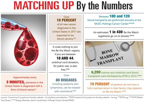 How To Donate Marrow