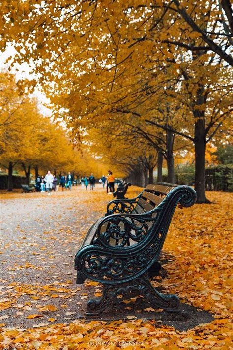 Autumn in London: Where to find the best fall colours 2022 — Bronwyn ...