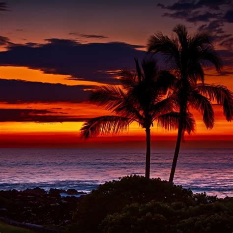 Hawaii Beach Sunset Wallpapers - 4k, HD Hawaii Beach Sunset Backgrounds on WallpaperBat