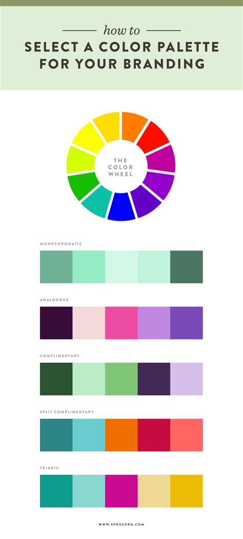 How to select a color palette for your branding — Spruce Rd.