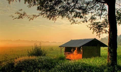 Rumah Tepi Sawah - Lensa Selebet