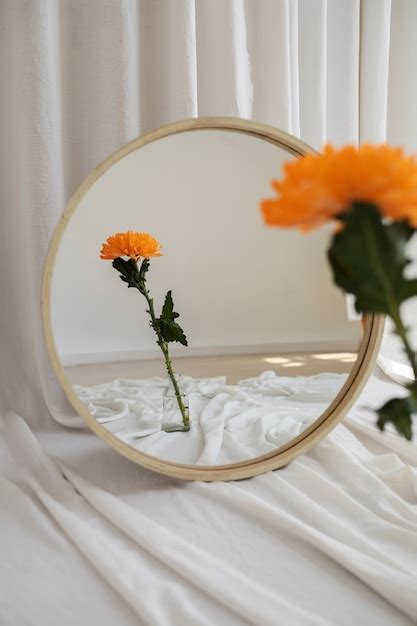 Premium Photo | Creative mirror background with flower