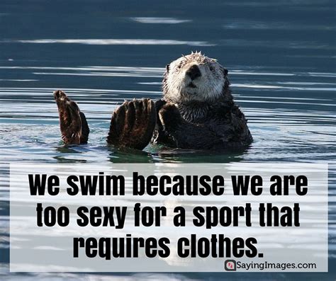 50 Swimming Quotes on Water Sports and Love of the Sea | Swimming quotes, Swimming motivational ...