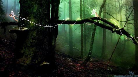 The Fairy Forest Wallpapers - Wallpaper Cave