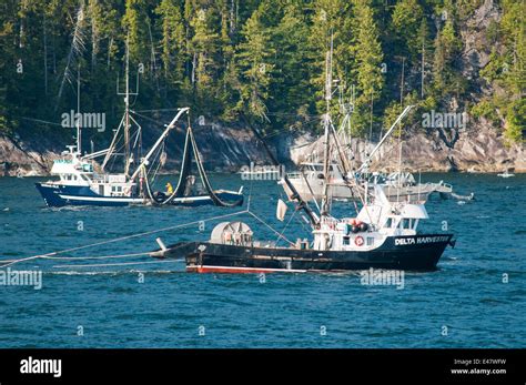 Commercial herring fishing boats trawling seine nets, Inside Passage ...