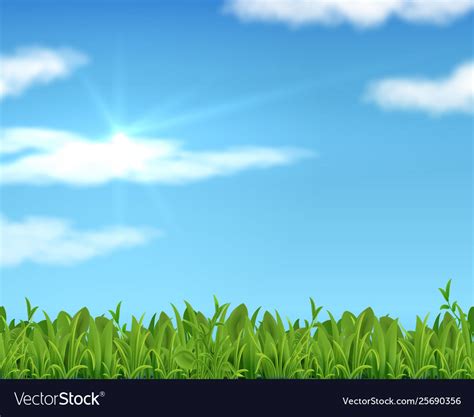 Realistic lawn and sky 3d spring grass background Vector Image