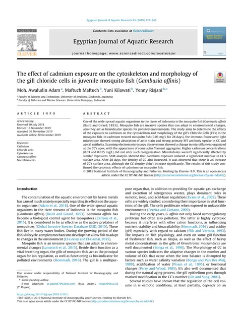 (PDF) The effect of cadmium exposure on the cytoskeleton and morphology of the gill chloride ...