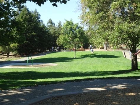 Moraga Commons Park in Moraga, California - Kid-friendly Attractions | Trekaroo