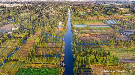 O passeio de trajinera pelos canais de Xochimilco - Abrace o Mundo