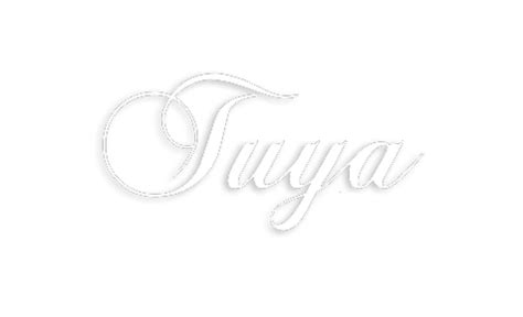 Tuya Eye Palette Fashion Express Eco Eye Shadows – Tuya Colour Cosmetics