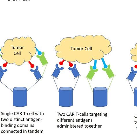 Phase 2 clinical trials of CAR T-cell therapy in DLBCL, mantle cell ...