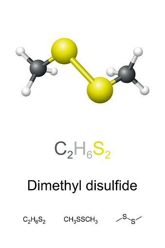 Dimethyl Disulfide Dmds Chemical Formula And Molecule Model Stock Illustration - Download Image ...