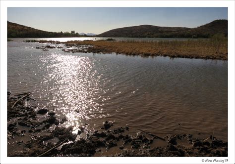 SP Campground Review – Patagonia Lake State Park, Patagonia, AZ ...