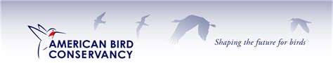 American Bird Conservancy Job Notice - International Conservation ...