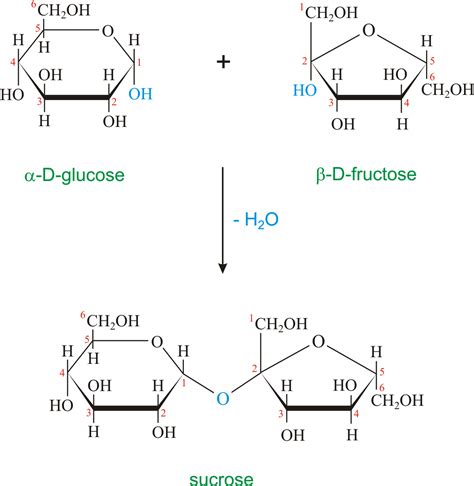 Sucrose @ Chemistry Dictionary & Glossary