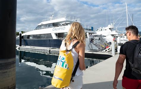 Cairns Whale Watching Cruise | Whale Watch & 4 Hours On Fitzroy Island