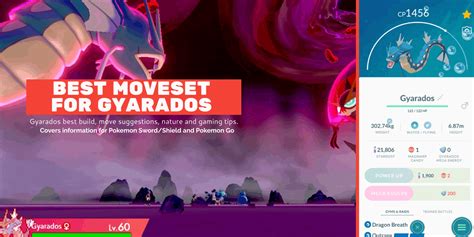 Best Moveset For Gyarados In Sword & Shield And Pokemon GO | PokemonCoders