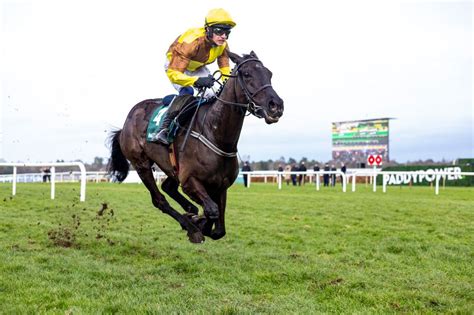 Brilliant Galopin Des Champs drifts for Gold Cup despite Leopardstown success | Racing Post