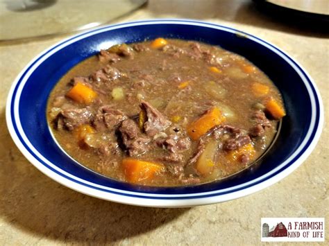 Simple Vension (Bear, Beef) Slow Cooker Stew! - A Farmish Kind of Life