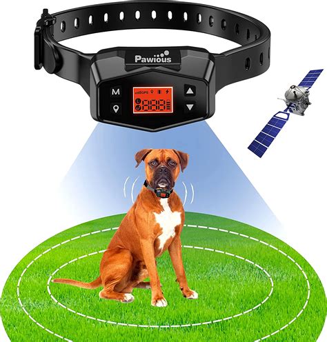 10 Best Shock Collar For Dogs That Run Away With Invisible Fence | ThePetcareidea