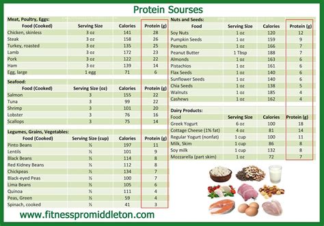 Protein Chart: Sources, Serving Size, Calories