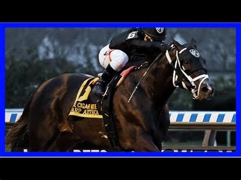 Horse racing news and results - espn - YouTube