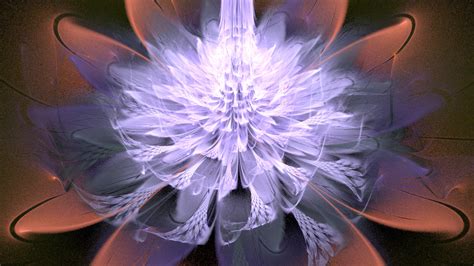 Fractal Flower Free Stock Photo - Public Domain Pictures