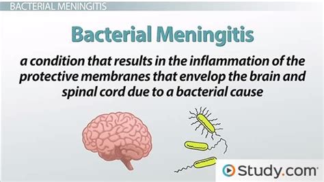 How To Avoid Bacterial Meningitis - Rowwhole3