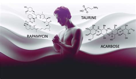 Bryan Johnson’s Top Three Anti-Aging Compounds: How the Science Measures Up