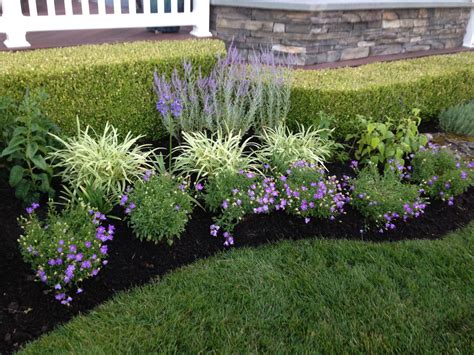 Perennials Perennials, Landscape Design, Homeowner, Llc, Landscaping ...